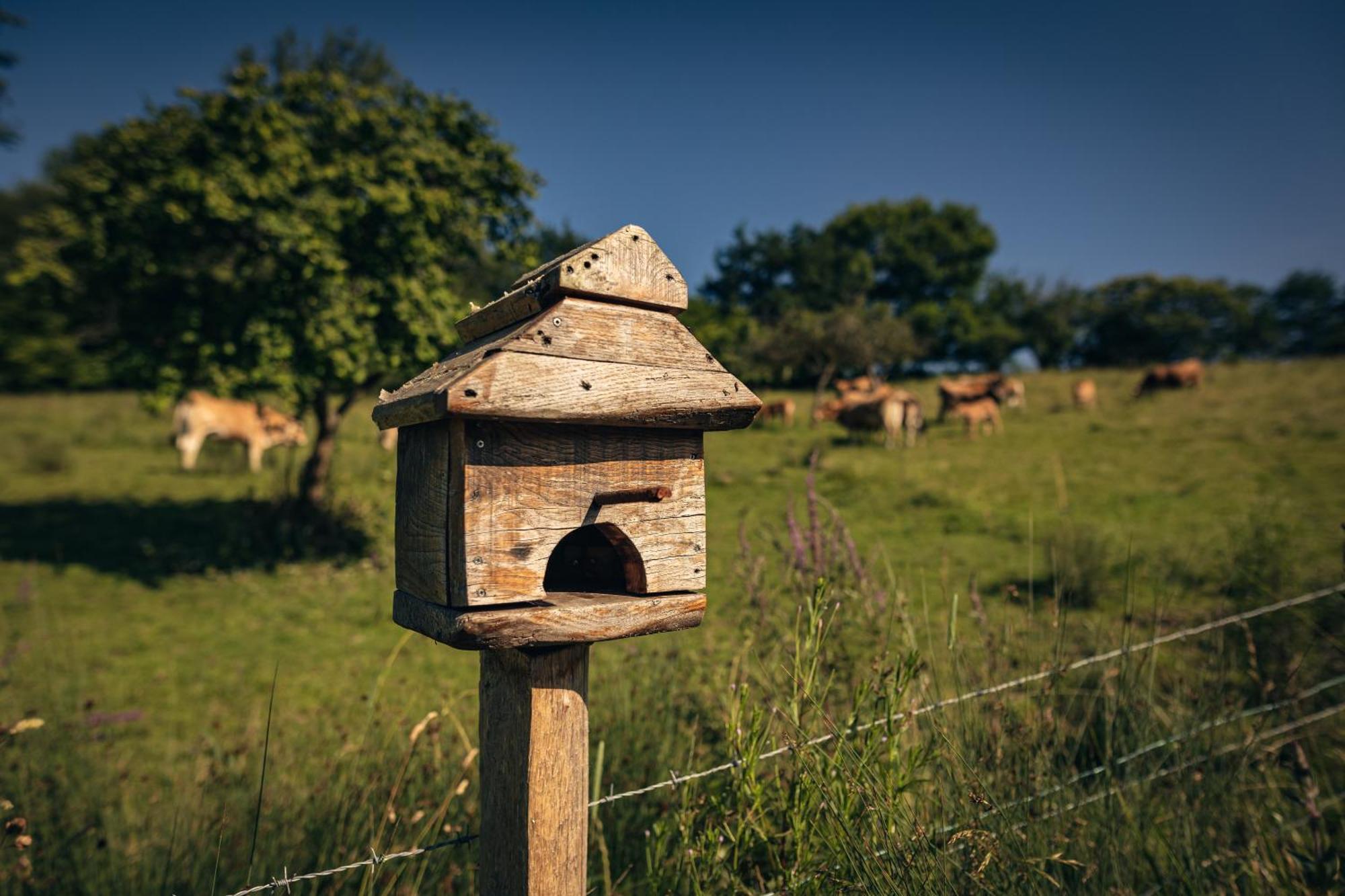 Finca La Naguada Casa Rural En Asturias Beloncio 外观 照片