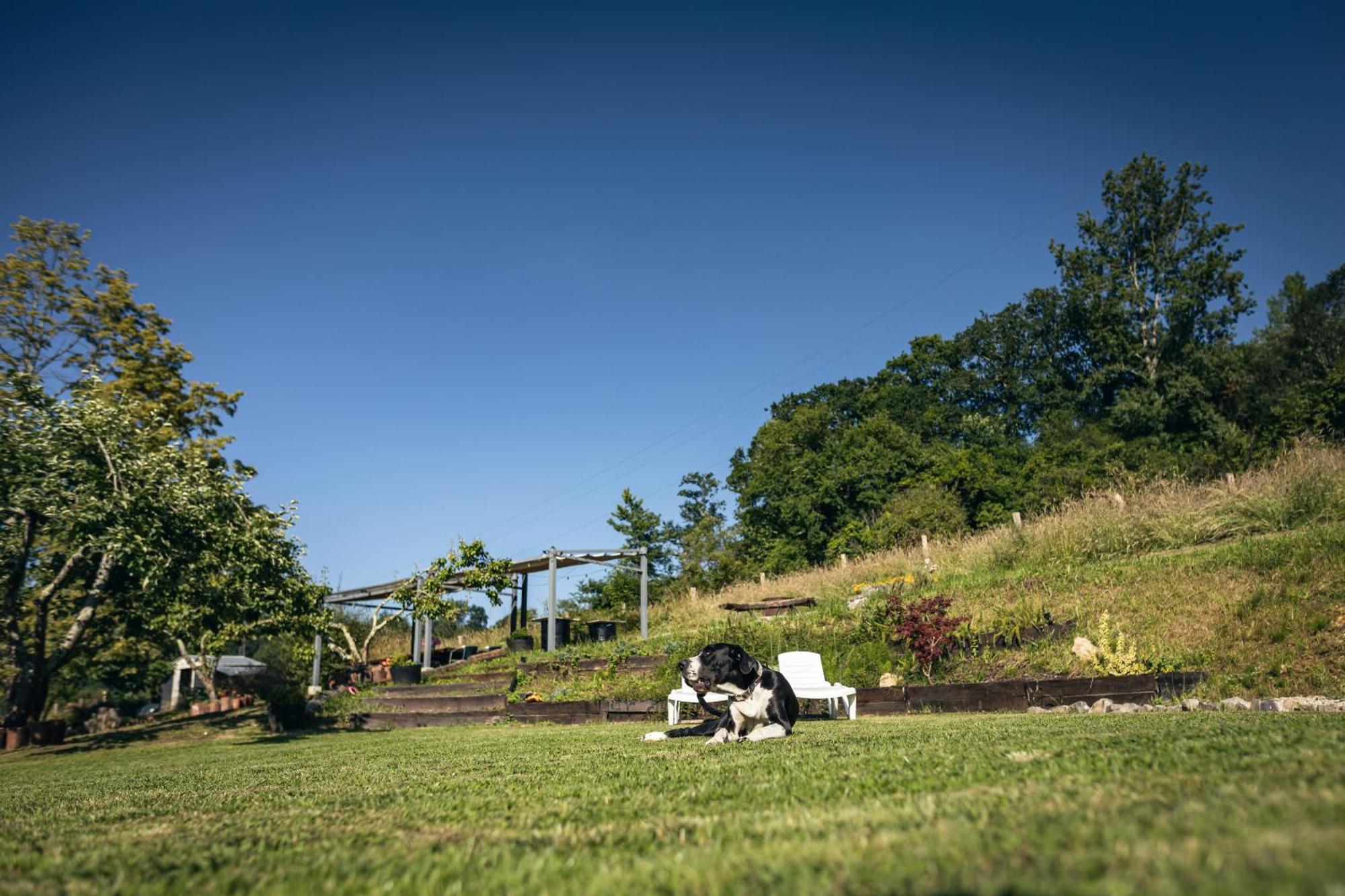 Finca La Naguada Casa Rural En Asturias Beloncio 外观 照片