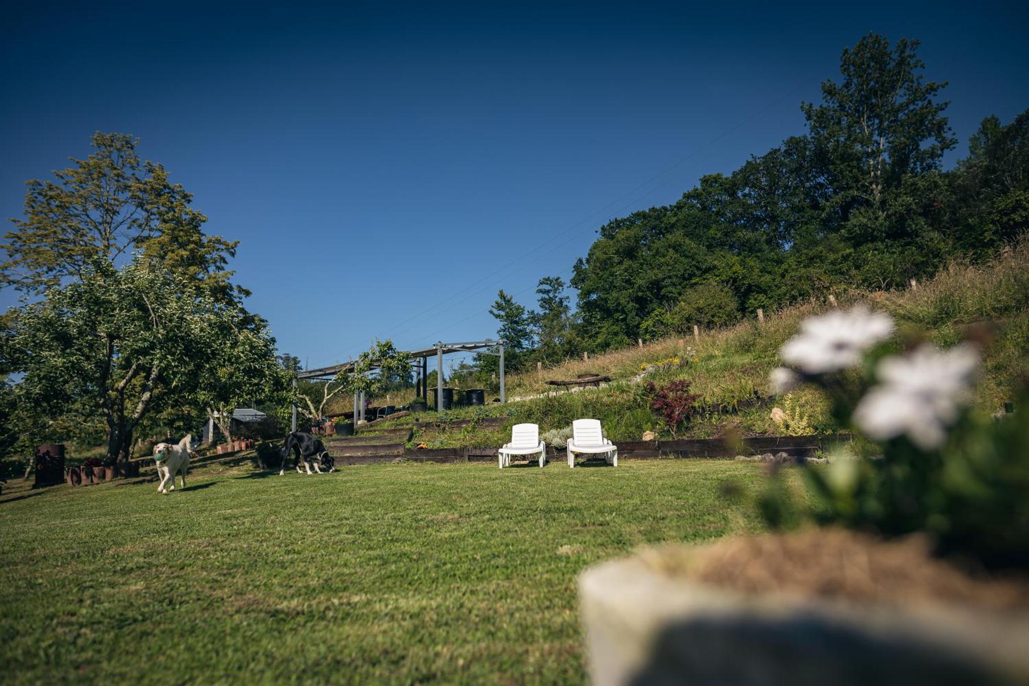 Finca La Naguada Casa Rural En Asturias Beloncio 外观 照片