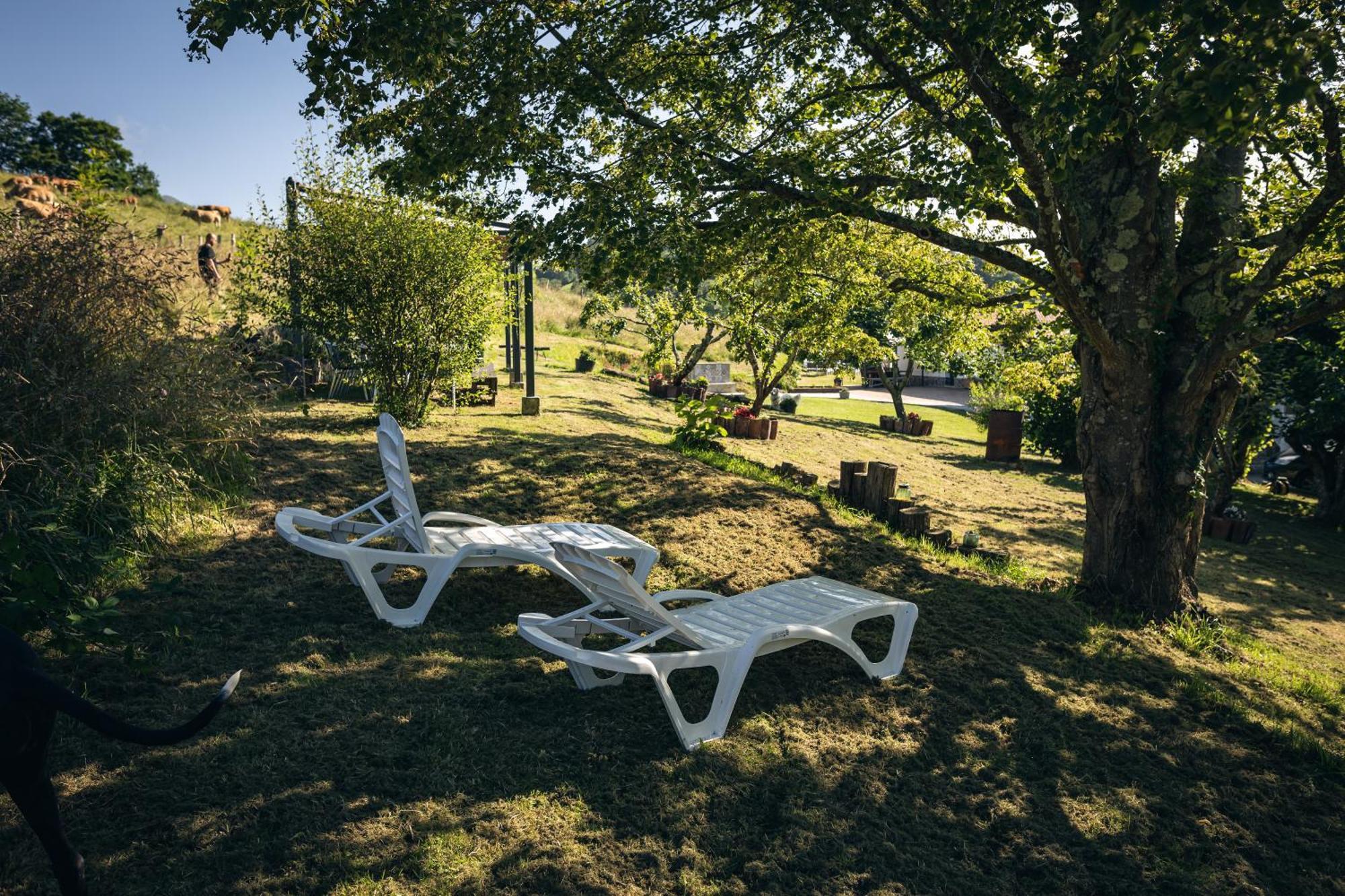 Finca La Naguada Casa Rural En Asturias Beloncio 外观 照片