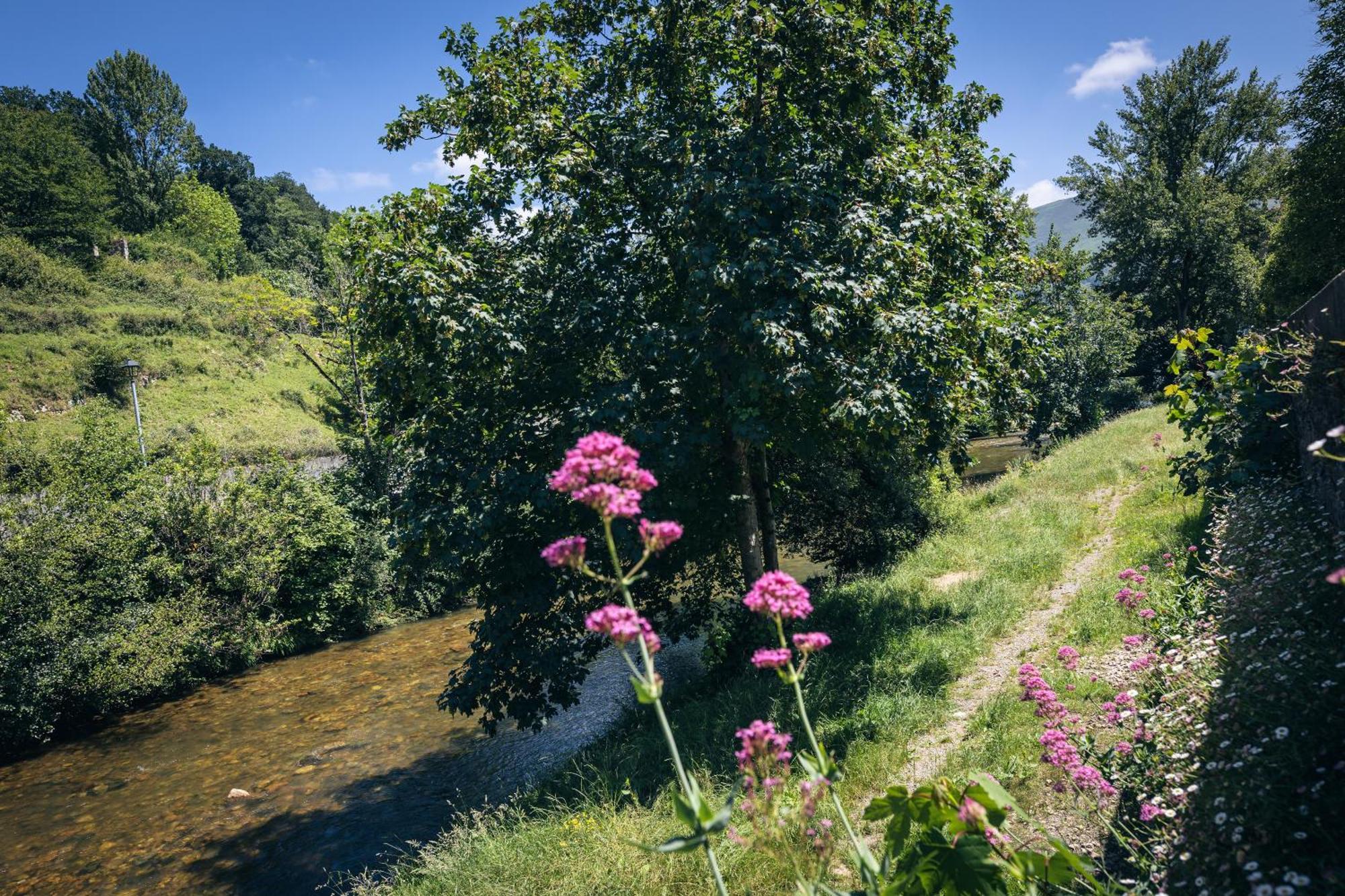 Finca La Naguada Casa Rural En Asturias Beloncio 外观 照片